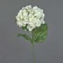 Hortensia i plast MONA, krämfärgad, 70cm, Ø15cm