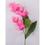 Konstgjord blomkvist Medinilla LASENTER, rosa, 110cm