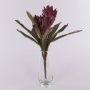 Konstgjord Guzmania-bromelia WALFRIEDE på stödpinne, vinröd, 50cm