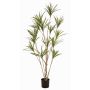 Konstträd Dracaena marginata SHALLU, konststammar, grönt, 180cm