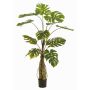 Konstväxt Philodendron monstera deliciosa KORVEX, luftrötter, 150cm