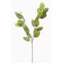 Konstgjord gren Lunaria JUDITHA, grön, 70cm