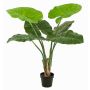 Konstväxt Alocasia Calidora NICAS, dekorativ kruka, grön, 90cm