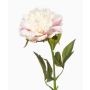 Konstgjord pion GAVRON, vit-rosa, 55cm