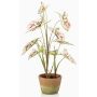 Konstväxt Syngonium YOMREL i terrakottakruka, krämröd, 60cm