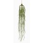 Konstväxt, suckulent Rhipsalis, hängande TAMON, grön, 90cm