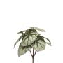 Konstväxt bladbegonia BLAROM på stödpinne, crossdoor, grågrön, 25cm