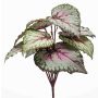 Konstväxt bladbegonia BLAROM på stödpinne, crossdoor, grå-rosa, 25cm