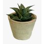 Konstgjord suckulent Haworthia limifolia GLOFER i terrakottakruka, mörkgrön, 13cm