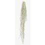 Konstgjord suckulent Tillandsia usneoides BRAVIK, på pinne, svårantändlig, grå, 150cm