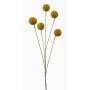 Konstgjord blomma craspedia AMELDA, gul, 70cm