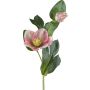 Konstgjord blomma julros DENDY, rosa-grön, 35cm