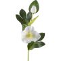 Konstgjord blomma julros DENDY, vit, 35cm