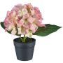 Dekorativ blomma hortensia LENDYN i dekorativ kruka, rosa-grön, 20cm