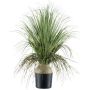 Dekorativ palm COOSA, 70cm