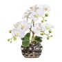 Dekorativ blomma Phalaenopsis-orkidé BRULFEN, dekorvas i silver, vit, 30cm