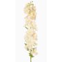 Dekorativ blomma riddarsporre XERINA, krämrosa, 125cm