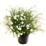 Dekorationsblomma, pelargon GISINDA i dekorationskruka, vit-grön, 40cm