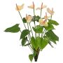 Konstgjord anthurium NAKITA på stativ, rosa-krämfärgad, 50cm