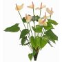 Konstgjord anthurium NAKITA på stativ, rosa-krämfärgad, 50cm