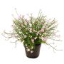 Dekorationsblomma GISINDA i dekorativ kruka, rosa, 25cm