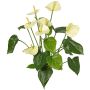 Konstgjord anthurium NAKITA på stativ, krämfärgad, 50cm