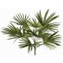 Konstgjord palm Washingtonia SAIMA på stativ, crossdoor, 50cm