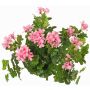 Konstgjord pelargon MIA på stativ, ljusrosa, 40cm, Ø5-8cm