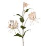 Sammet gloriosa-gren DINFAS, blekrosa-guld, 80cm