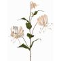 Sammet gloriosa-gren DINFAS, blekrosa-guld, 80cm