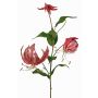 Sammetgloriosa-gren DINFAS, mauve-guld, 80cm
