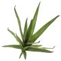 Plastskum Aloe Vera VERENA, på pinne, crossdoor, grön, 50cm, Ø40cm