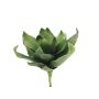 Plastskum drake-agave JORES på stickpinne, crossdoor, grön, 45cm, Ø40cm