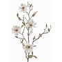 Konstgjord magnoliagren MARGA, vit, 80cm, Ø7-8cm