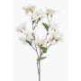 Dekorativ gren Bougainvillea MOWLER med blommor, krämfärgad, 70cm