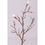 Konstgjord magnoliagren ASANI, vit, 70cm, Ø1-2cm