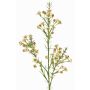 Dekorativ kvist med vaxblomma FRINDALS, krämfärgad, 65cm, Ø1,5-2cm