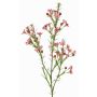 Dekorativ kvist vaxblomma FRINDALS, mörkrosa, 65cm, Ø1,5-2cm