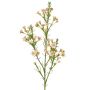 Dekorativ kvist med vaxblomma FRINDALS, ljusrosa-vit, 65cm, Ø1,5-2cm