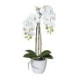 Konstgjord Phalaenopsis-orkidé LARKEN i keramikkruka, rötter, vit, 45cm