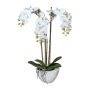 Konstgjord Phalaenopsis-orkidé LARKEN i keramikskål, rötter, vit, 50cm
