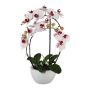 Textil Phalaenopsis-orkidé INAKES, keramikkruka, rötter, rosa-vit, 50cm
