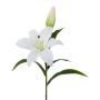 Dekorativ lilja XERNA, vit, 50cm