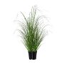 Konstgräs zebragräs FERVA, grön-gul, 60cm
