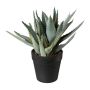 Konstgjord suckulent Aloe Vera BLORN i dekorativ kruka, grön, 23cm