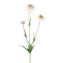 Dekorativ kvist av solhatt KAELY, ljusrosa, 65cm