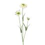 Dekorativ kvist Scabiosa ATLENTO, vit, 65cm