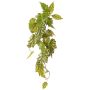 Konstväxt Begonia palmata OANFIR, stödpinne, hängande, grön, 90cm
