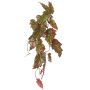 Konstväxt Begonia palmata OANFIR, på pinne, hängande, rosa-grön, 90cm