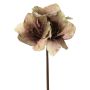 Konstgjord amaryllis SARDUAN, grön-rosa, 65cm, Ø10cm